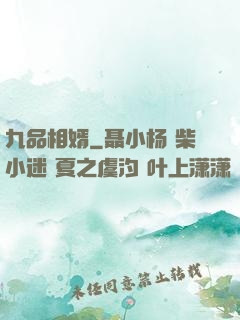 九品相婿